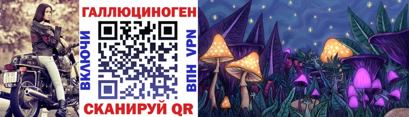 ссылка на мегу ссылка  Керчь  Галлюциногенные грибы MAGIC MUSHROOMS 